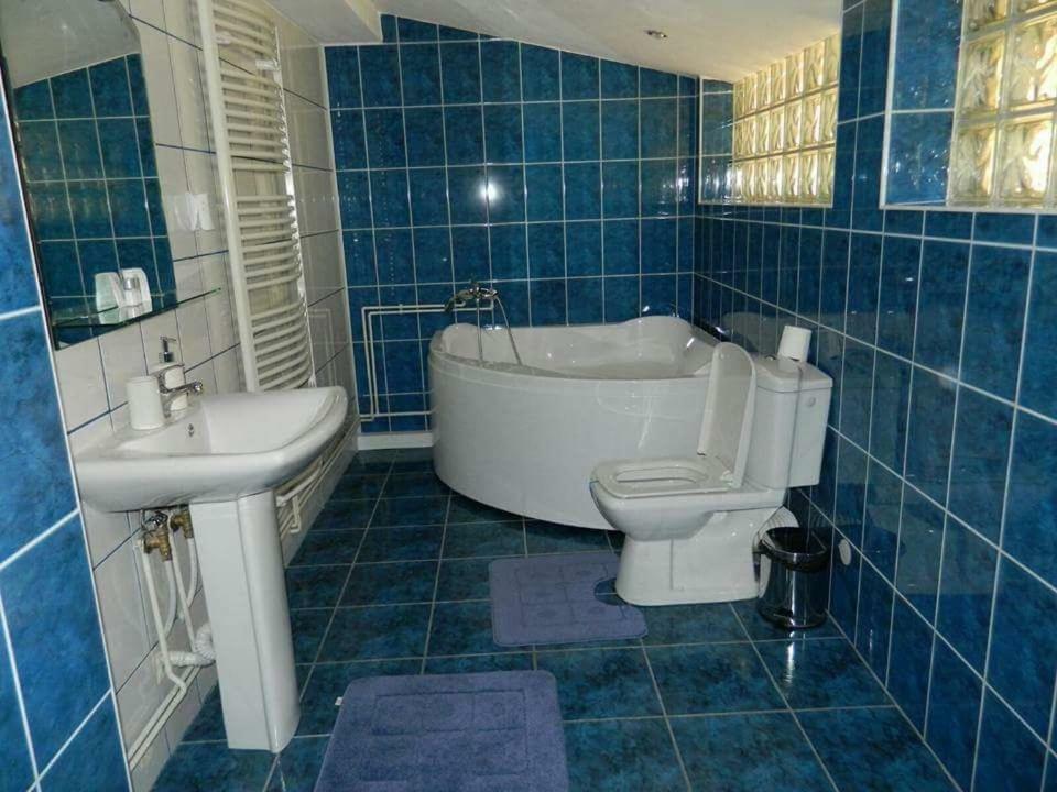 Casa Cristian Villa Sinaia Ngoại thất bức ảnh